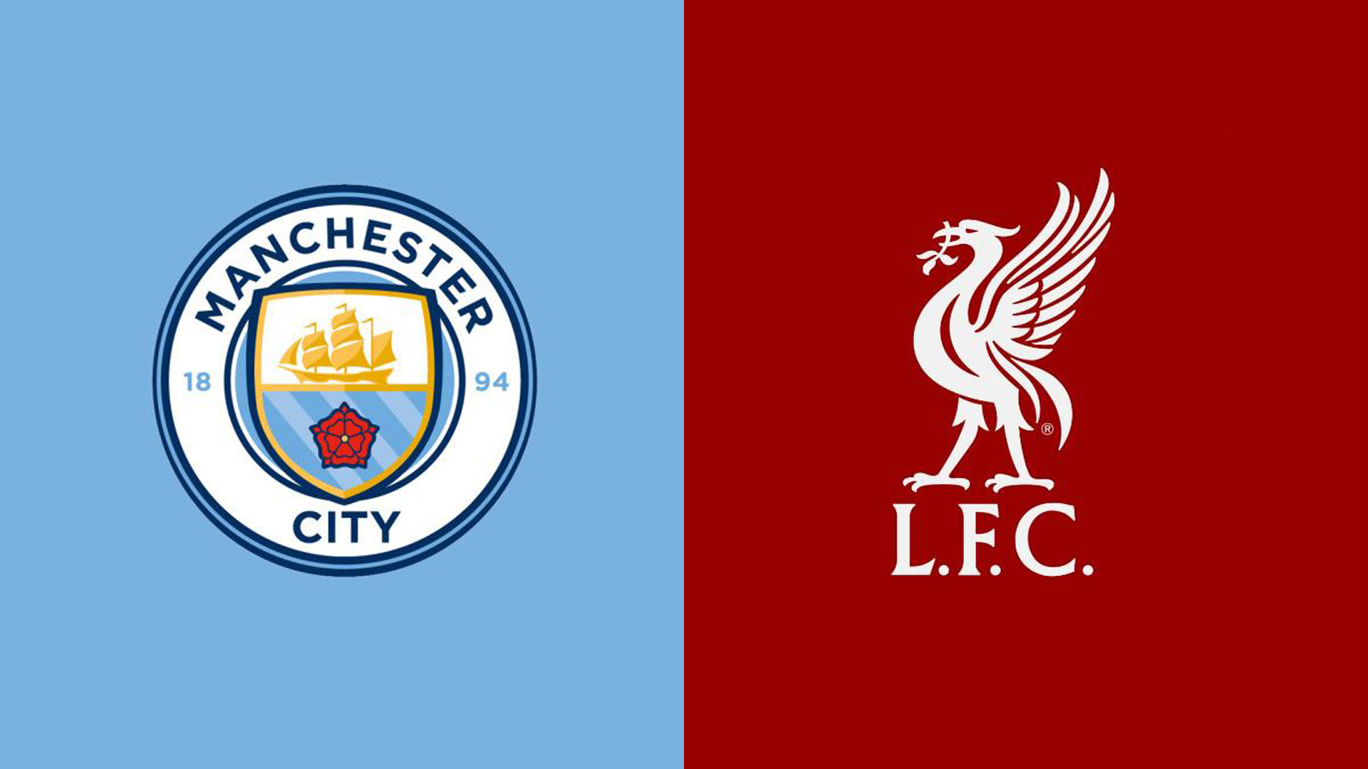 鲸鱼体育机械设备有限公司